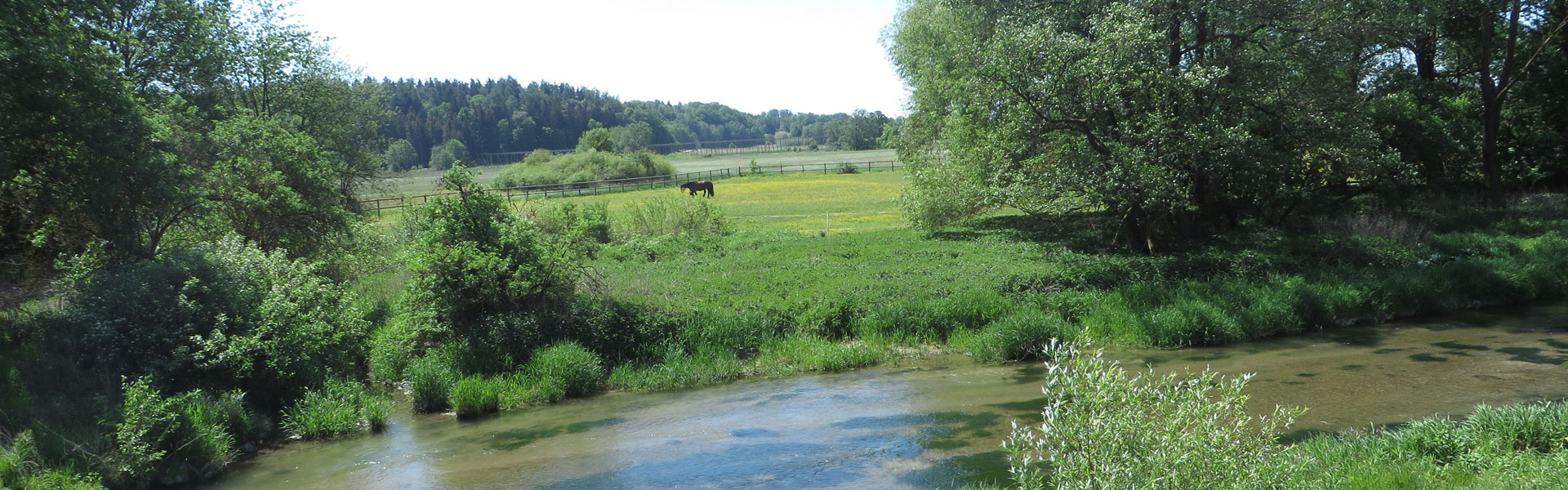 Header Gemeinde Train 037